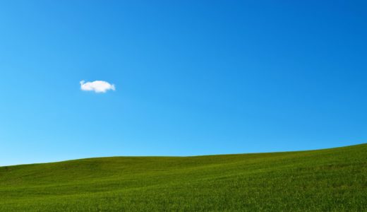 税法用語の意味がわかるブログ（8）「青色申告」